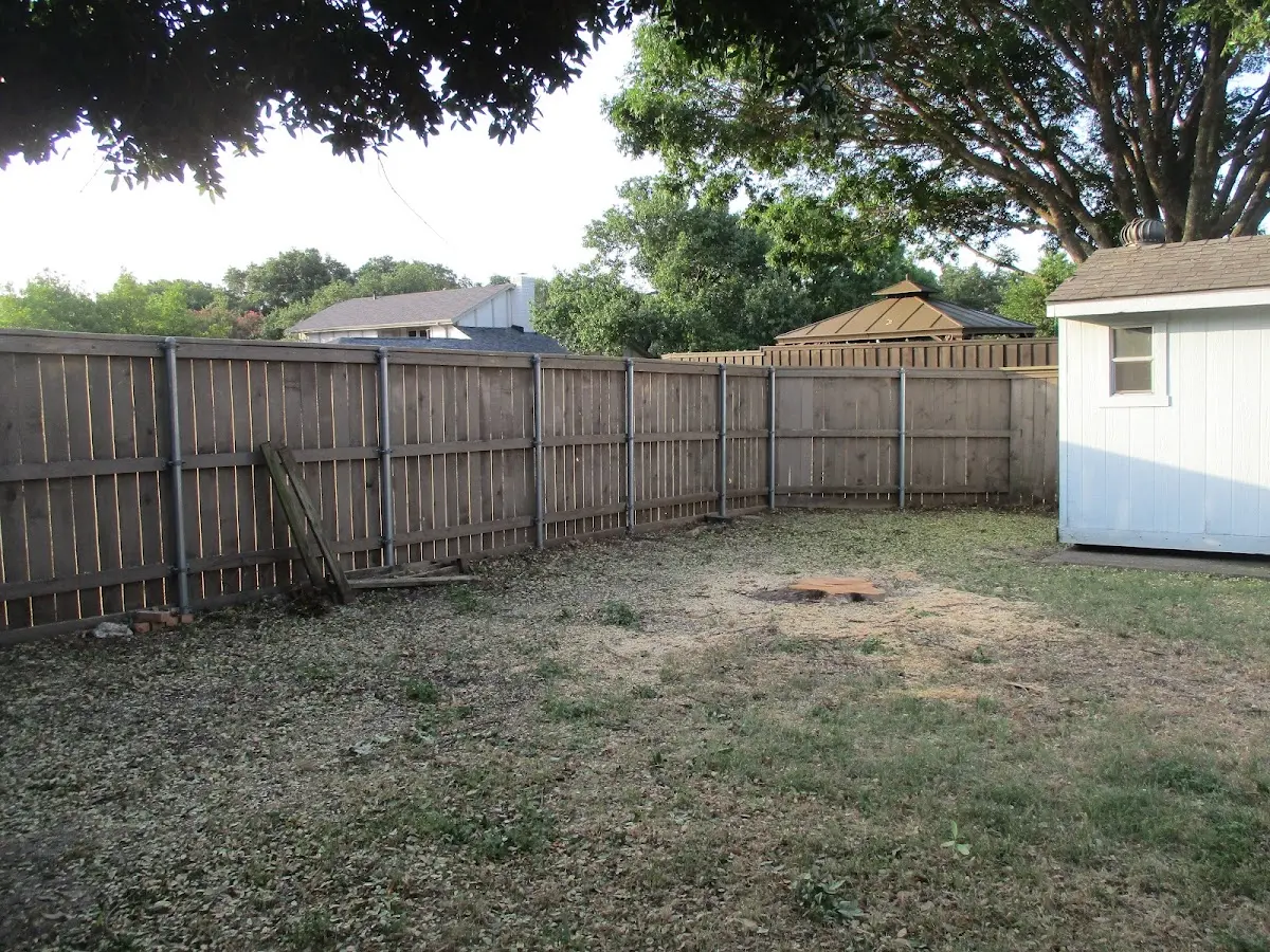 Cleared yard after professional tree removal in Falls Creek