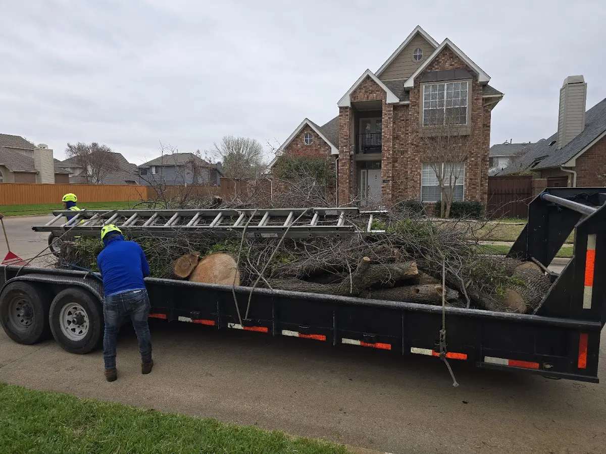 Expert Tree Removal with proper safety equipment in Falls Creek